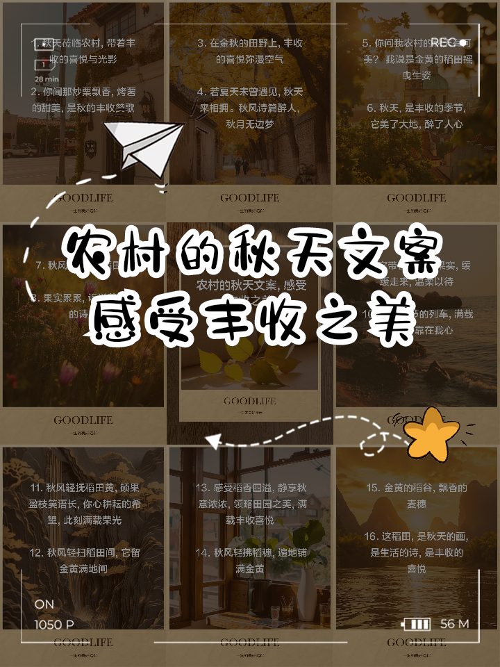 秋季乡村登山节，呼吸新鲜空气迎接丰收季的简单介绍