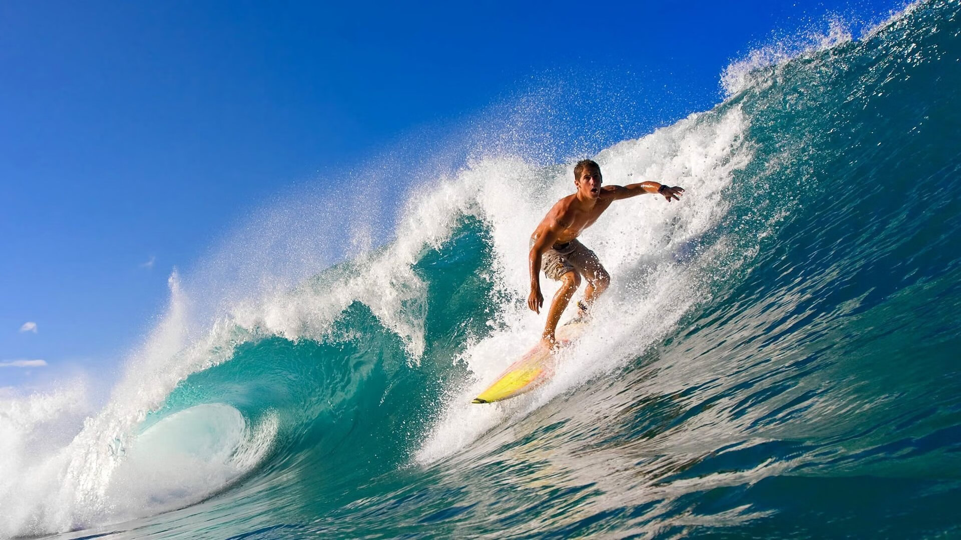 米兰体育官网入口-WRC年度评选：最佳表现与精彩瞬间盘点，wrc比赛规则