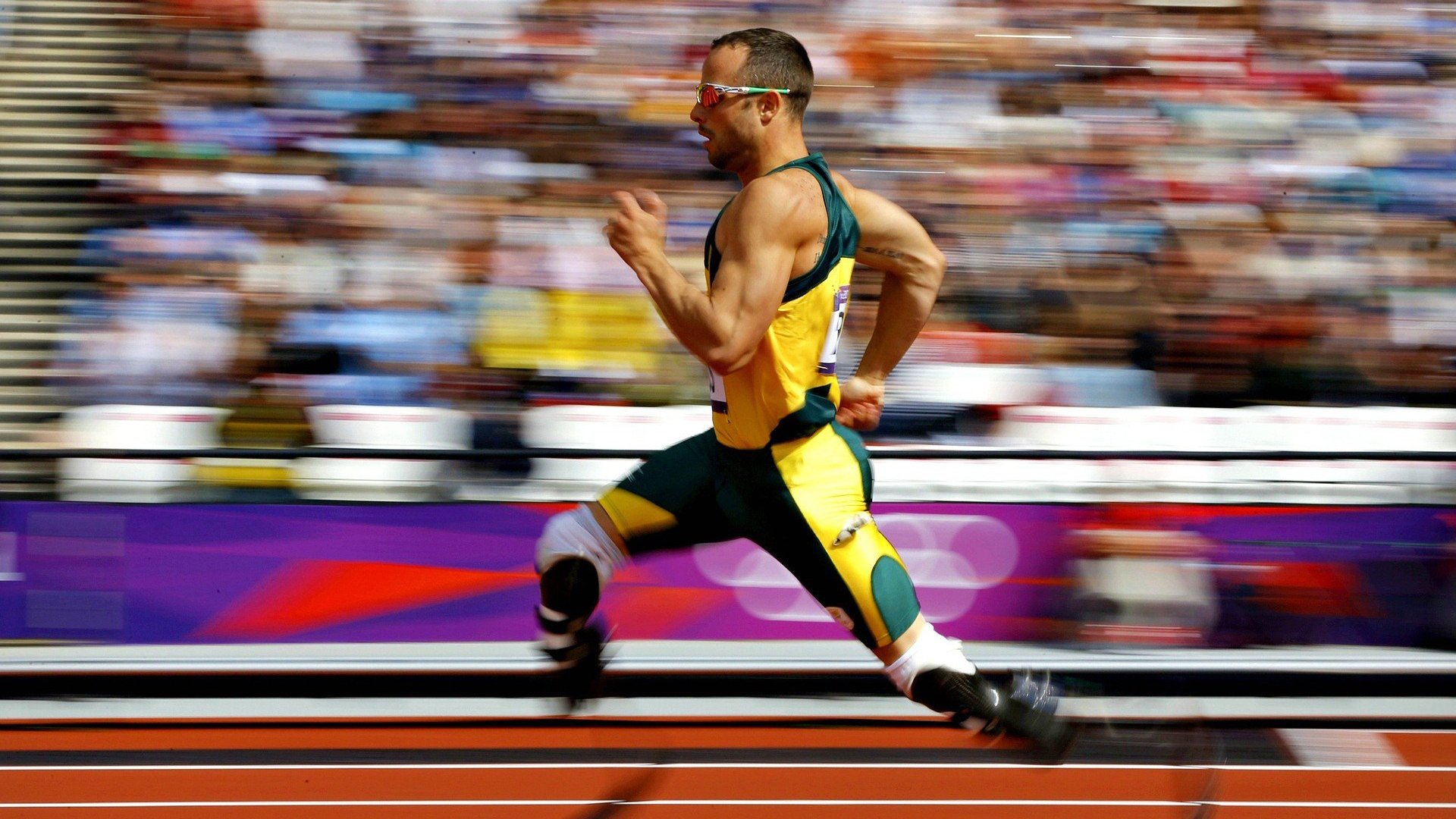 WRC年度评选：最佳表现与精彩瞬间盘点，wrc比赛规则