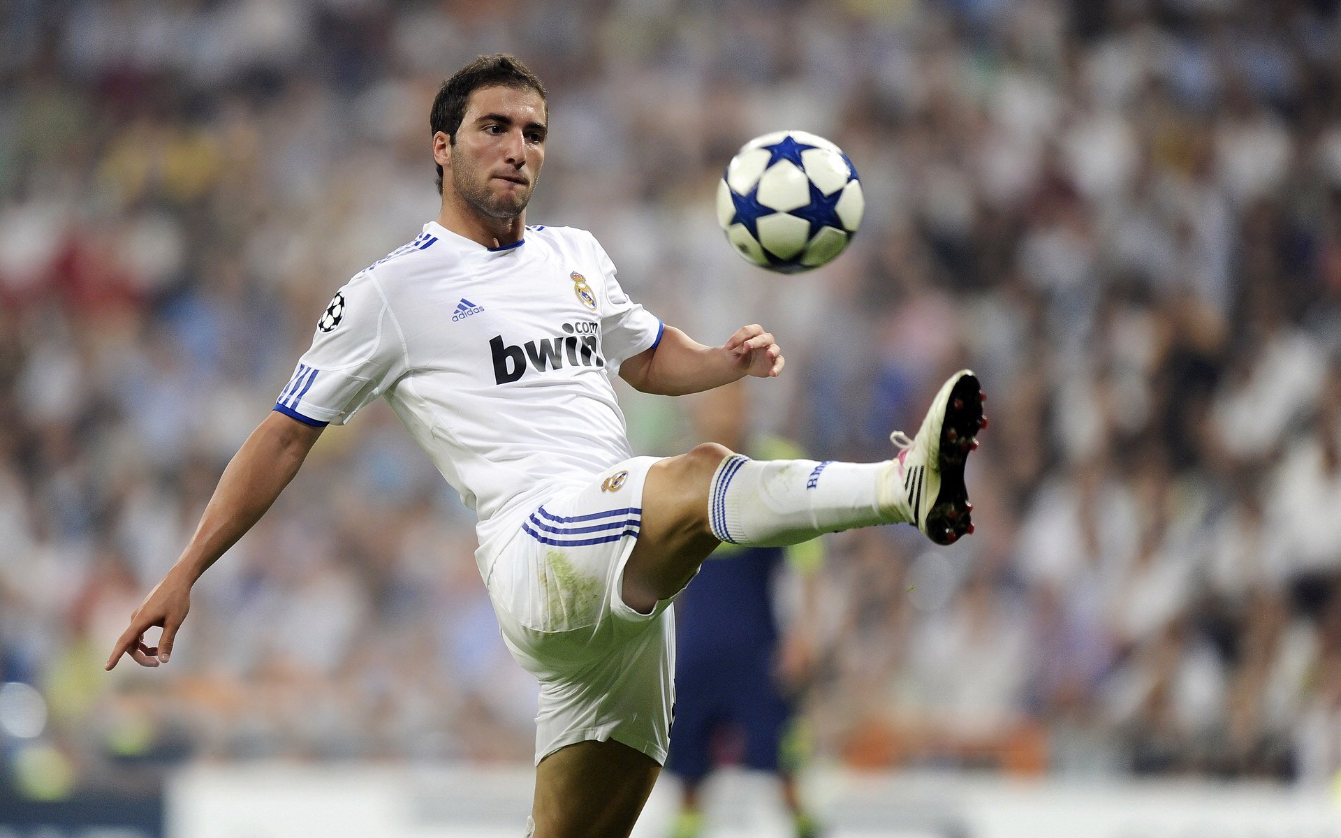 _天幕下的极光穿越:自然奇观中的极限竞赛_,极光的天空